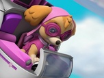 Replay Paw Patrol, la Pat'Patrouille - Le spectacle des chats