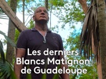 Replay Outremer.ledoc - Les derniers Blancs-Matignon de Guadeloupe