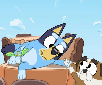 Replay Bluey - 22/11/2025