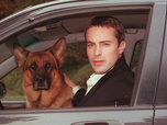 Replay Rex, chien flic - 03/08/2026
