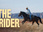 Replay The Rider