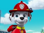Replay Paw Patrol, la Pat'Patrouille - Des bébêtes en vadrouille