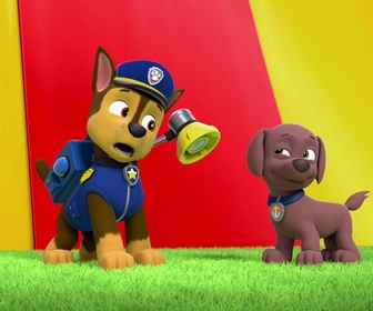 Replay Paw Patrol, la Pat'Patrouille - Le mambo des hippos