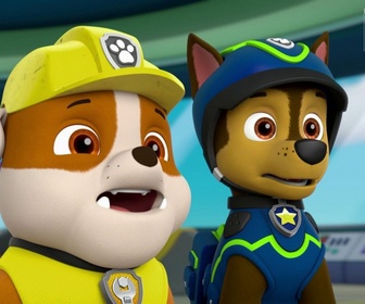 Replay Paw Patrol, la Pat'Patrouille - Le puits à souhaits