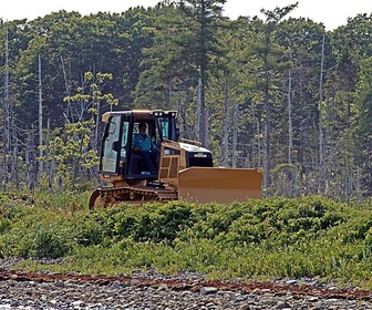 Replay Le mystère d'Oak Island : la course au trésor - S3E1 - La vérité au fond du trou