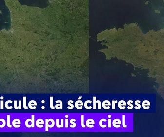 Replay On a de l'info - Canicule : la sécheresse visible depuis le ciel