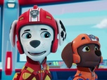 Replay Paw Patrol, la Pat'Patrouille - La Pat' Patrouille des Airs : Une cascade trop extrême