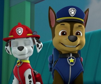 Replay Paw Patrol, la Pat'Patrouille - La course de caisses à savon