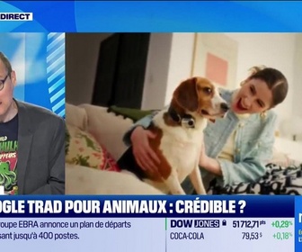 Replay Culture IA : Un google trad pour animaux, crédible ?, par Anthony Morel - 23/06