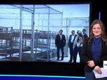 Replay Info ou intox - Alligator Alcatraz en Floride : des incinérateurs dans le centre de détention pour migrants ?