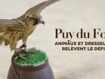Replay Puy du Fou : animaux et dresseurs relèvent le défi