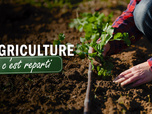 Replay L'agriculture, c'est reparti