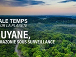 Replay Sale temps pour la planète - Guyane, l'Amazonie sous surveillance