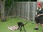Replay Dog house : un chien pour la vie