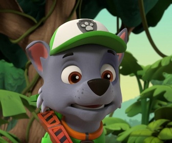 Replay Paw Patrol, la Pat'Patrouille - La plus grosse omelette du monde