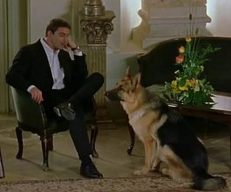 Replay Rex, chien flic - L'enfant gâtée