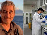 Replay Les requins / Recherche : la France décroche - 28 minutes