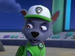 Replay Paw Patrol, la Pat'Patrouille - Monsieur Hellinger s'illumine