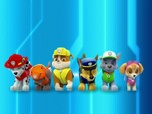 Replay Paw Patrol, la Pat'Patrouille - Alex le géant