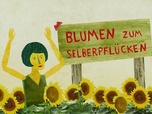 Replay Karambolage - Quand les Allemands sont en retards, ils amènent des fleurs