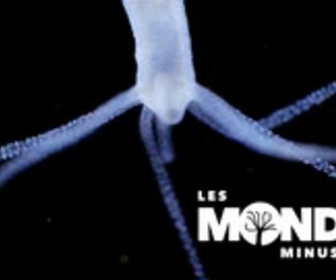 Replay Les Mondes Minuscules - 25/01/2025