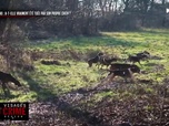 Replay Les visages du crime en région - Elisa Pilarski : A-t-elle vraiment été tué par son propre chien ?