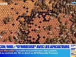 Replay Les longs formats des Locales - Dans Notre Histoire : les étapes de production du miel de Provence