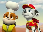 Replay Paw Patrol, la Pat'Patrouille - Le concours du meilleur chili