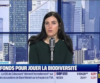 Replay BFM Bourse - Ces 30 fonds d'investissement pour jouer la biodiversité - 15/11