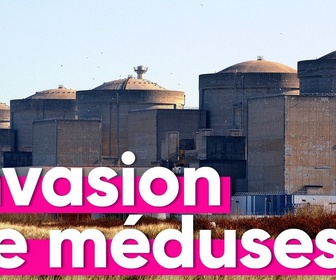 Replay Top Info - Comment le réchauffement climatique a provoqué l'arrêt d'une centrale nucléaire ?