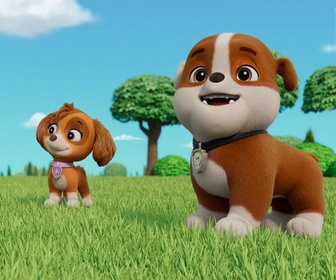 Replay Paw Patrol, la Pat'Patrouille - Des chèvres en danger
