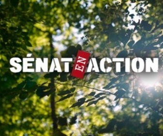 Replay Sénat en action - Forêts françaises, le défi climatique