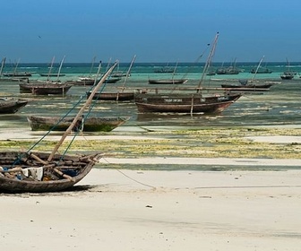 Replay Zanzibar - Îles de beautés