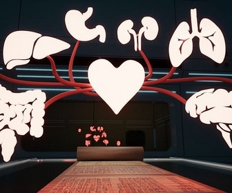 Replay La circulation sanguine : au cœur de l'histoire - Déclics