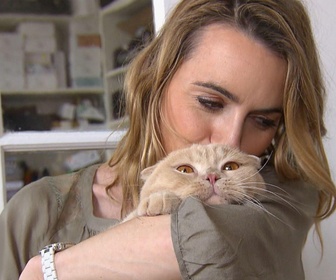 Replay La vie secrète des chats - Du chat des villes au chat des champs