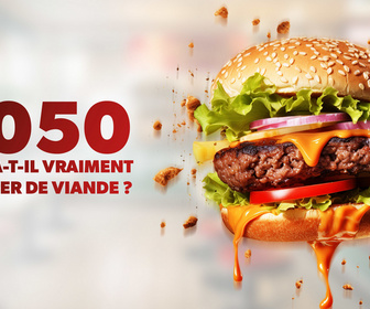 Replay 2050: Faut-il arrêter de manger de la viande ?