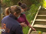 Replay Une saison au zoo - S13 E21