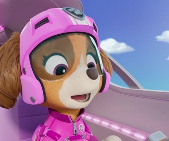 Replay Paw Patrol, la Pat'Patrouille - La Pat' Patrouille des Airs : Le sauvetage de l'avion royal