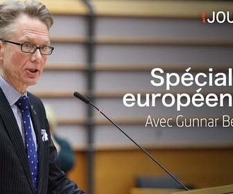 Replay Spécial élections européennes: Gunnar Beck - ARTE Journal (25/04/2024)