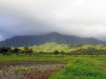 Replay Oahu - L'archipel d'Hawaï