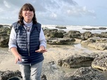 Replay La baie de Somme et la côte d'Opale - La France côté Nord