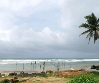 Replay Le Sri Lanka, l'île aux trésors