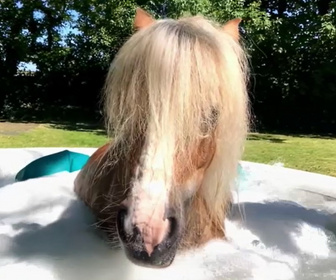 Replay Le super bêtisier - E3 - Volume 3