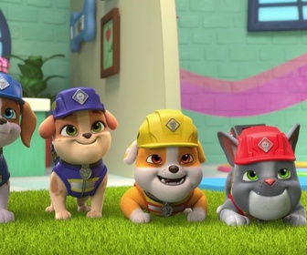 Replay Ruben & cie - La clinique vétérinaire