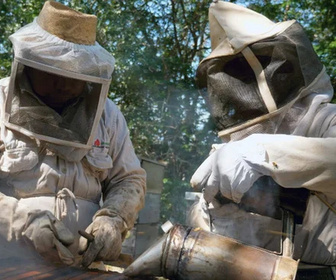 Replay Les maîtres des abeilles - 22/10/2025