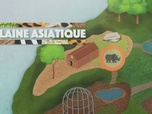 Replay Une saison au zoo - S12 E11