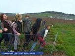 Replay Un jour, un doc - Champagne, les filles pétillantes