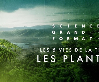 Replay Science grand format - Les 5 vies de la Terre - Les plantes