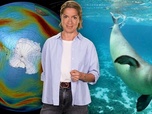 Replay Couche d'ozone : réparer le monde - Le dessous des cartes - L'essentiel