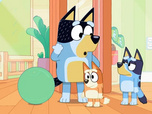 Replay Bluey - 08/11/2025